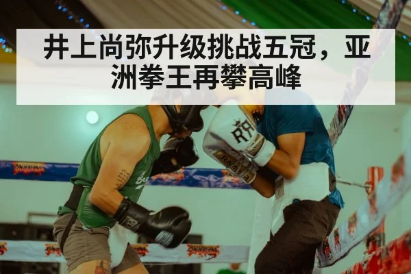 井上尚弥升级挑战五冠，亚洲拳王再攀高峰