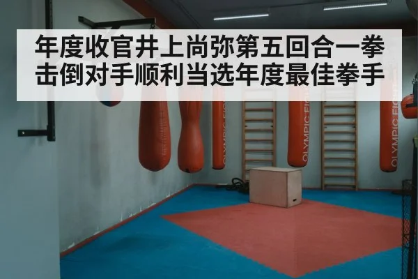 年度收官井上尚弥第五回合一拳击倒对手顺利当选年度最佳拳手